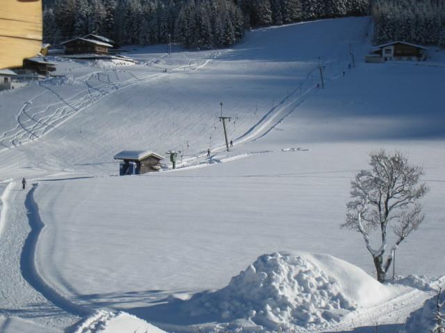 Appartement Mesnerhof à Brandenberg Extérieur photo